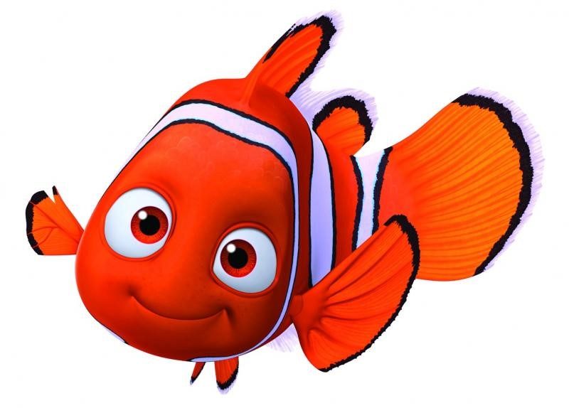 Imagen de Nemo, el pez payaso.